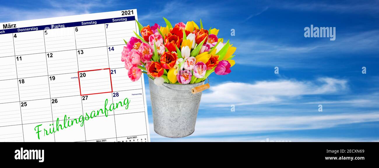 Frühlingsanfang Tulpen im Zinneimer mit Kalender auf Himmel Hintergrund Stock Photo