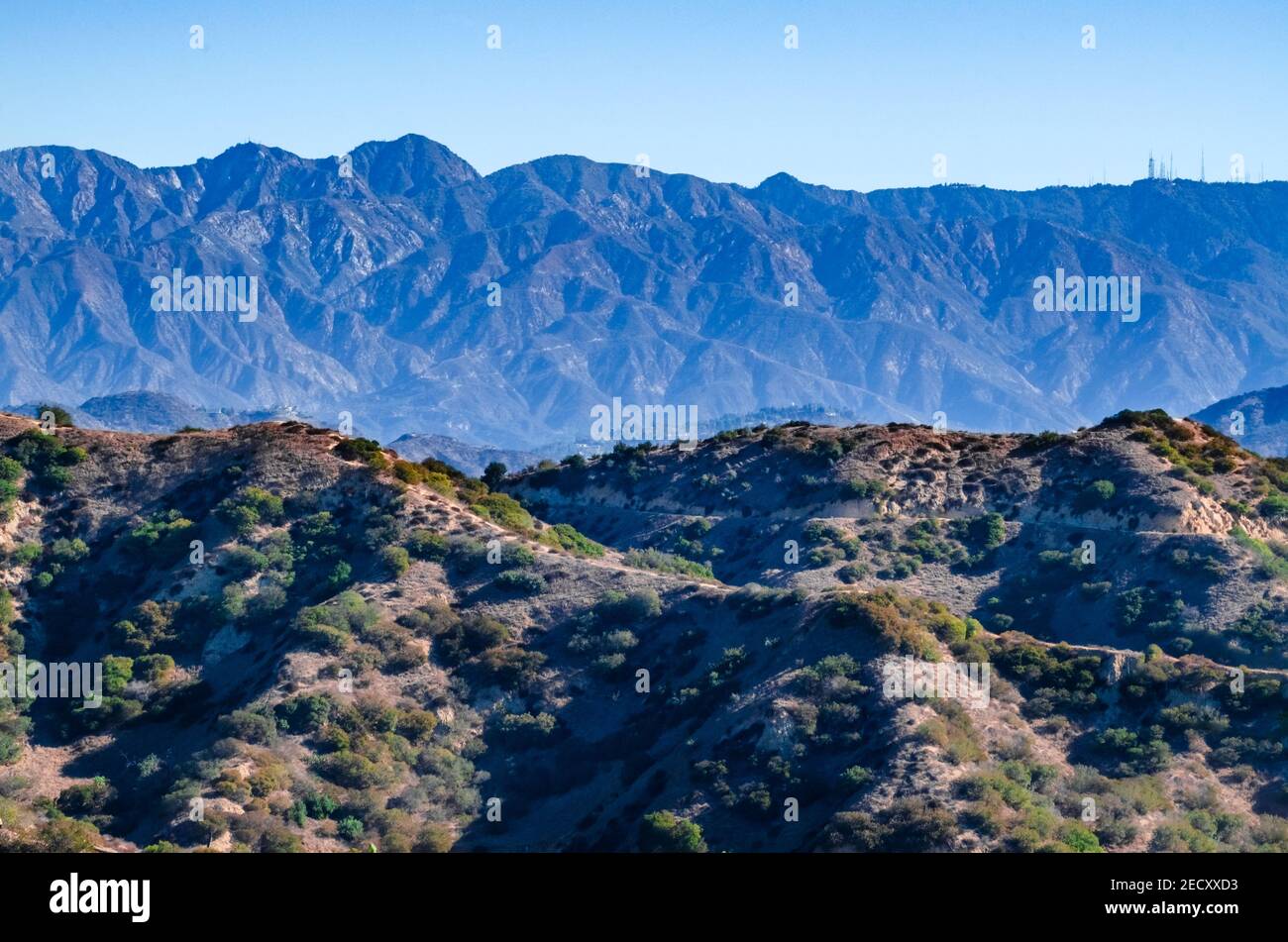 Panoramic view of Hollywood hills Los Angeles Stock Photo Alamy