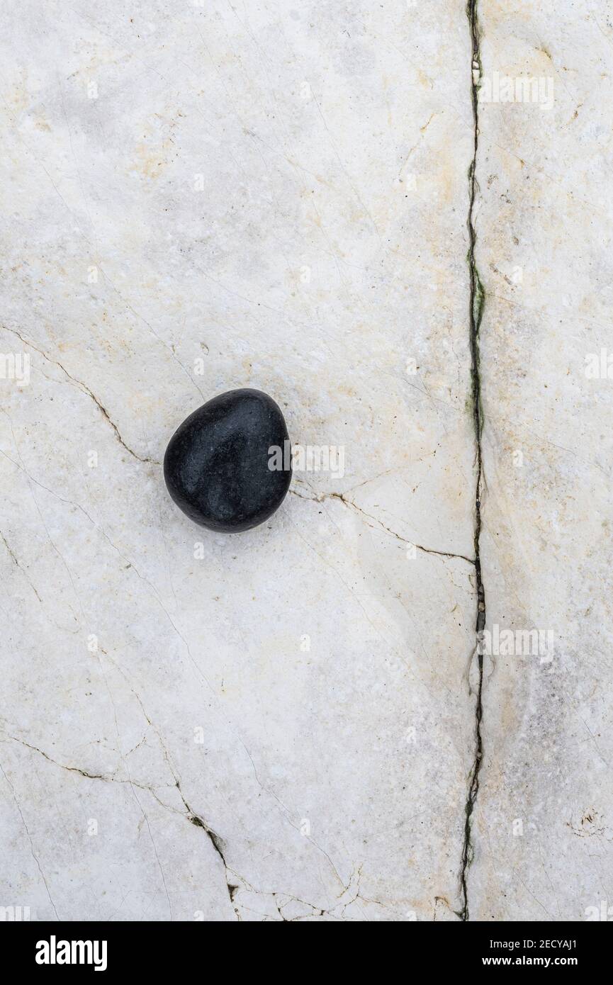 A black egg shaped rock on a cracked white background of white