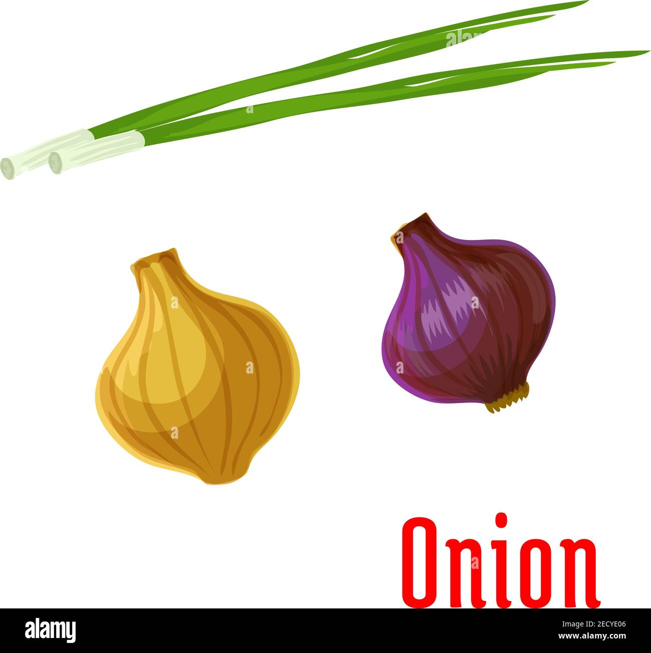 Fresh onion vegetable cartoon icon of yellow and red onion bulbs with