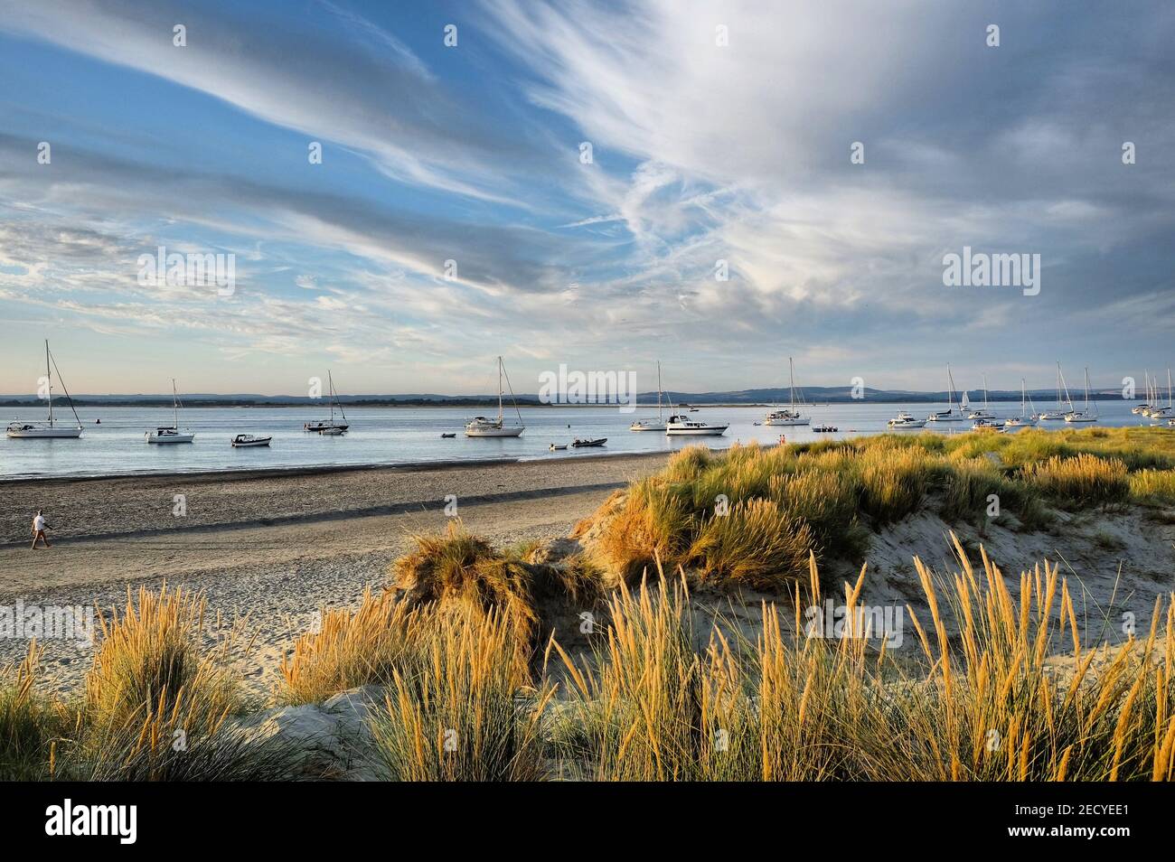 the-sand-dunes-at-west-wittering-beach-west-sussex-uk-stock-photo-alamy