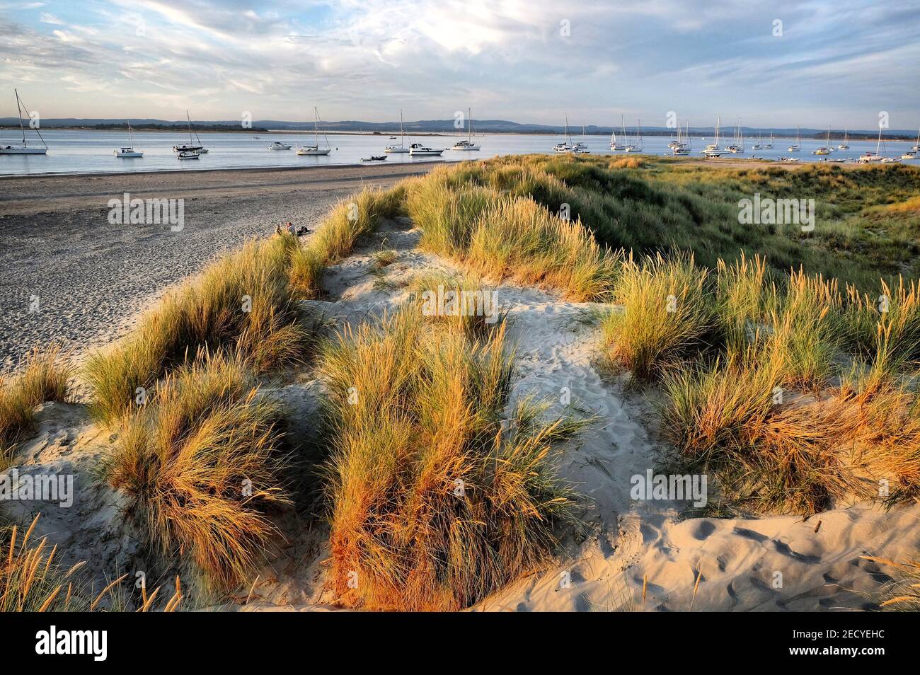 the-sand-dunes-at-west-wittering-beach-west-sussex-uk-stock-photo-alamy