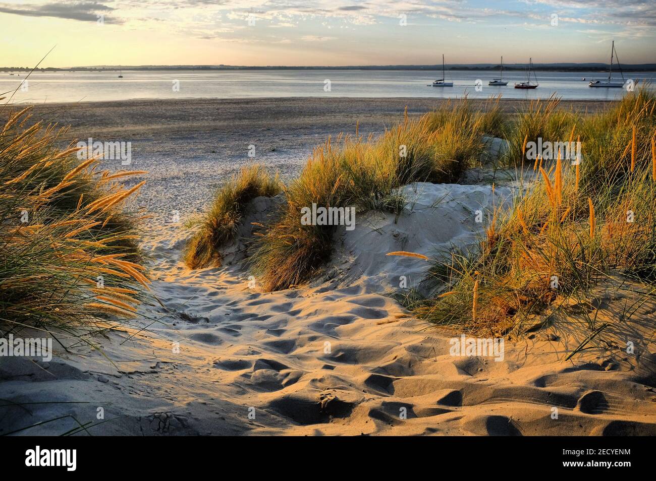 the-sand-dunes-at-west-wittering-beach-west-sussex-uk-stock-photo-alamy