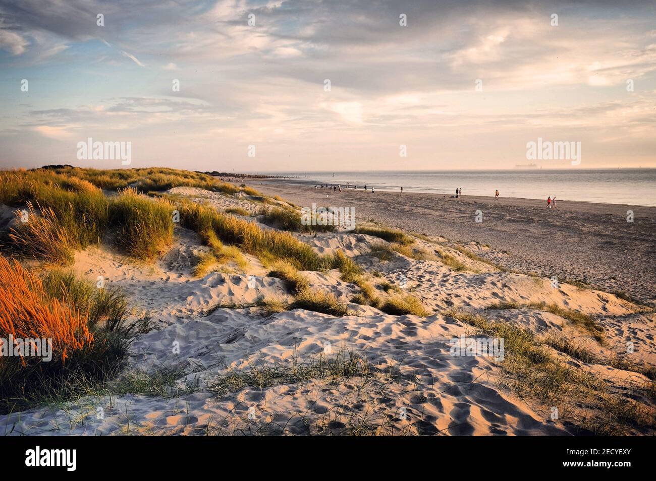 west-wittering-beach-hi-res-stock-photography-and-images-alamy
