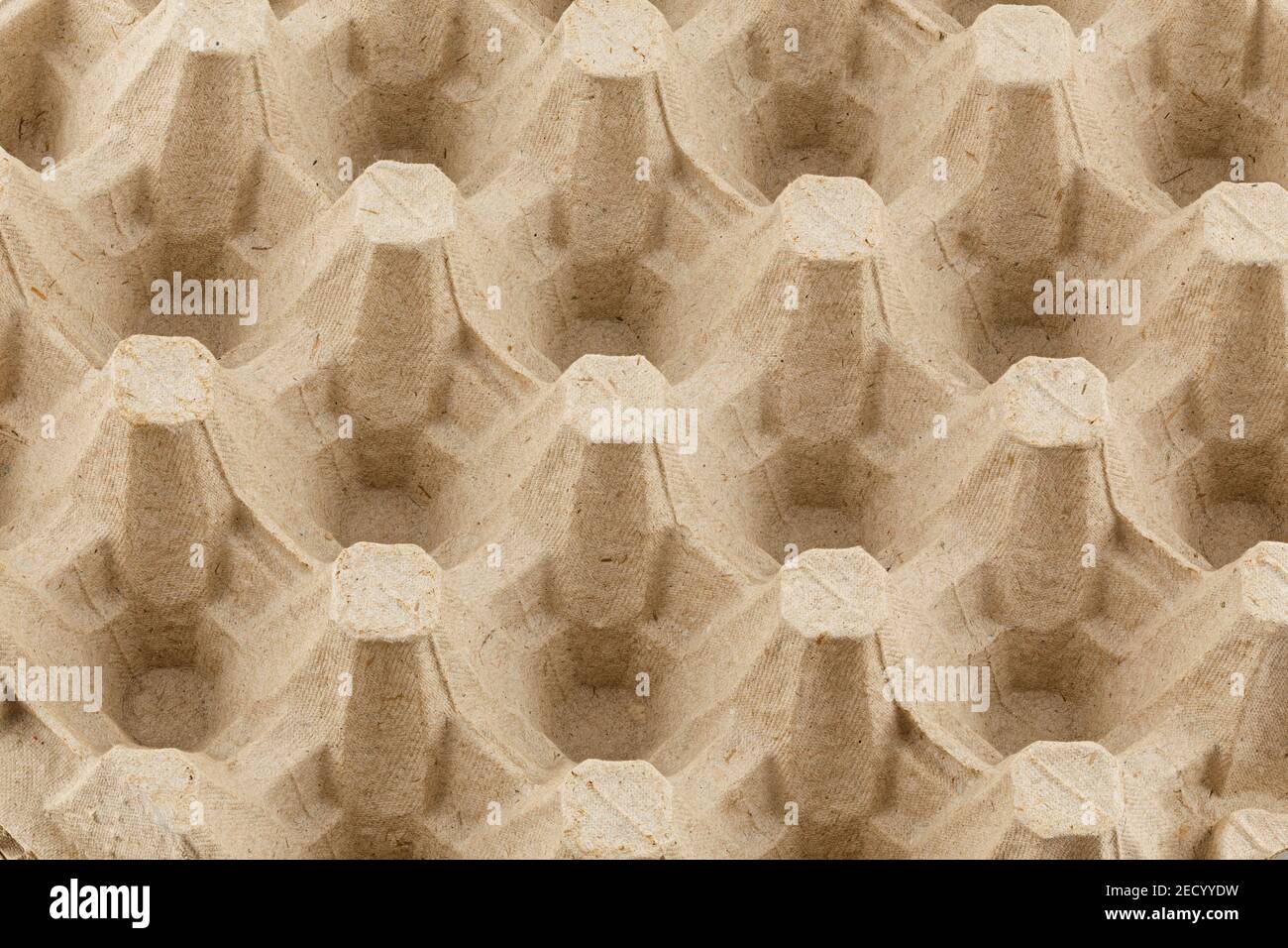 empty formed cardboard egg tray - closeup with edge-to-edge sharpness. Stock Photo
