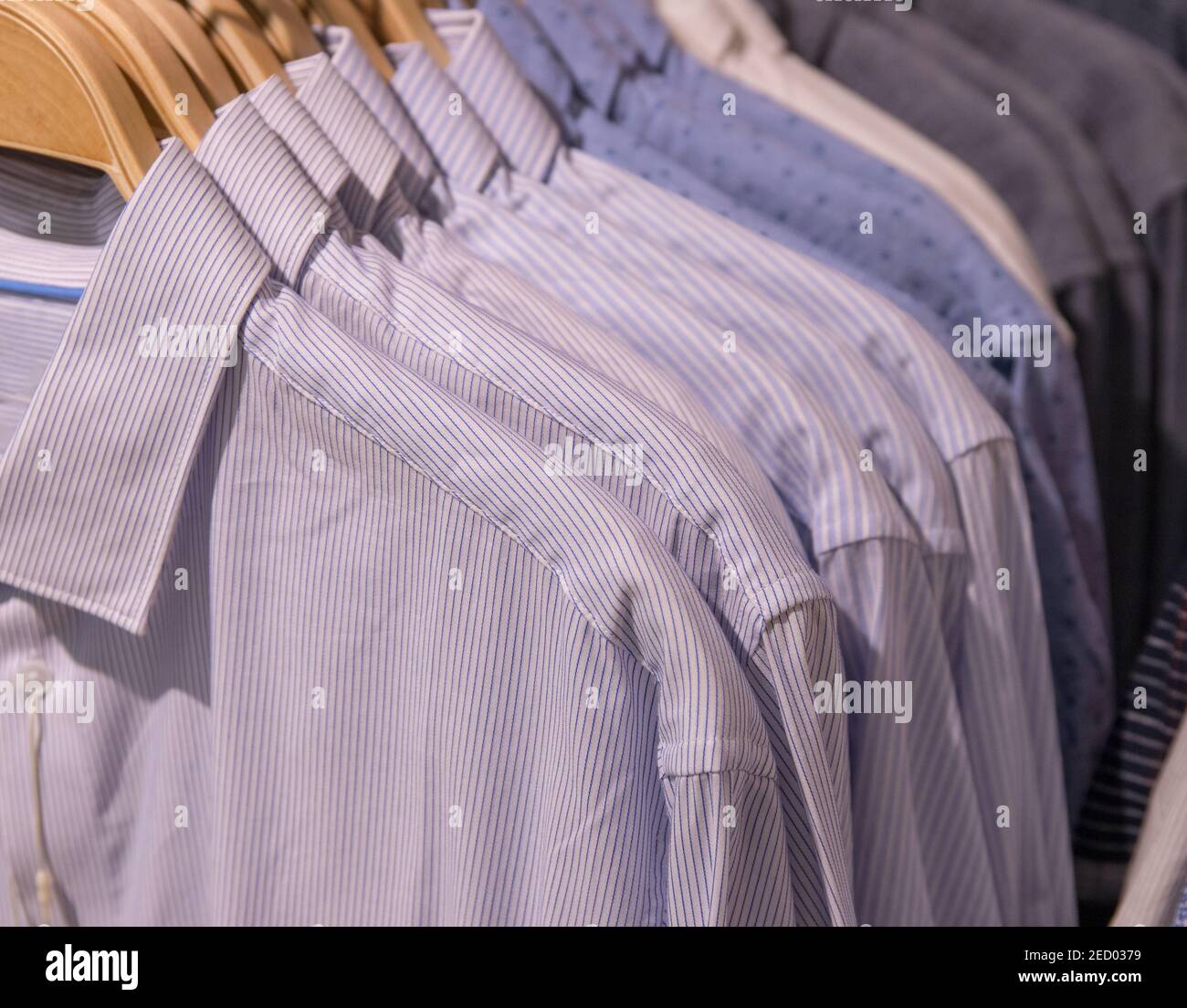 Men shirt on hanger. Official men wear 