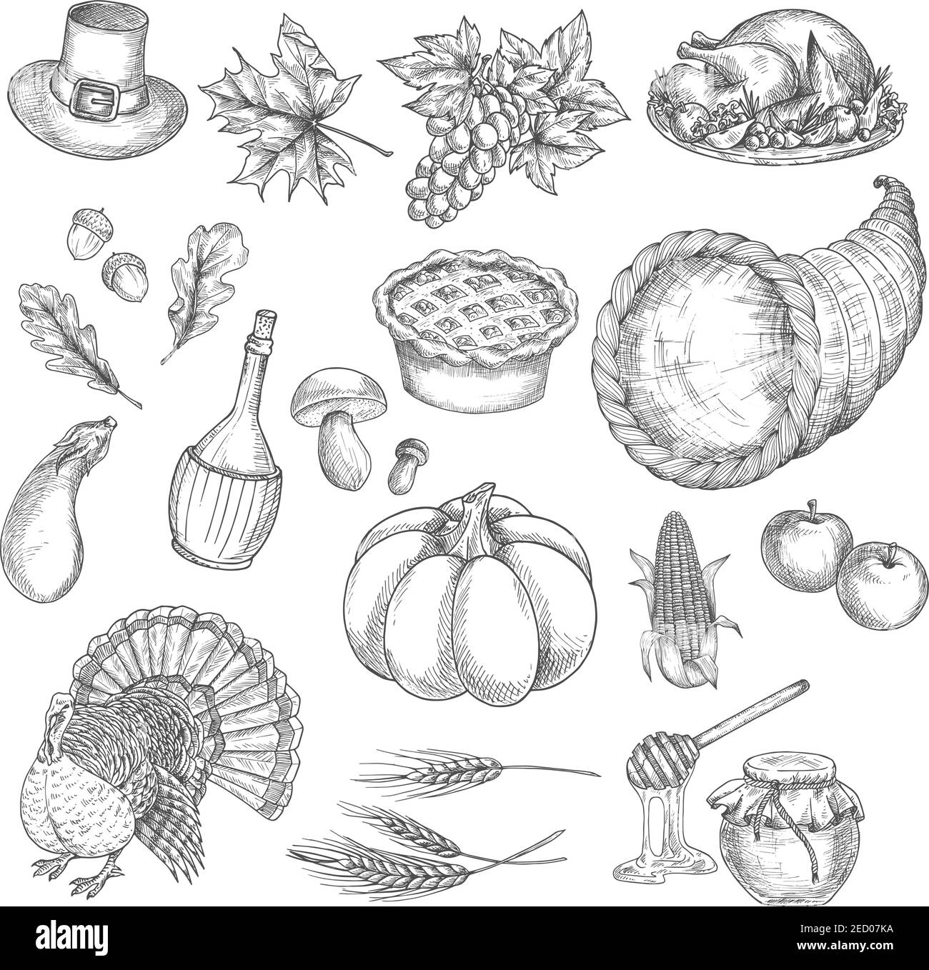 Thanksgiving sketch vector isolated icons of traditional celebration. Thanksgiving turkey, cornucopia, pumpkin, vegetables harvest, grape bunch, corn, Stock Vector