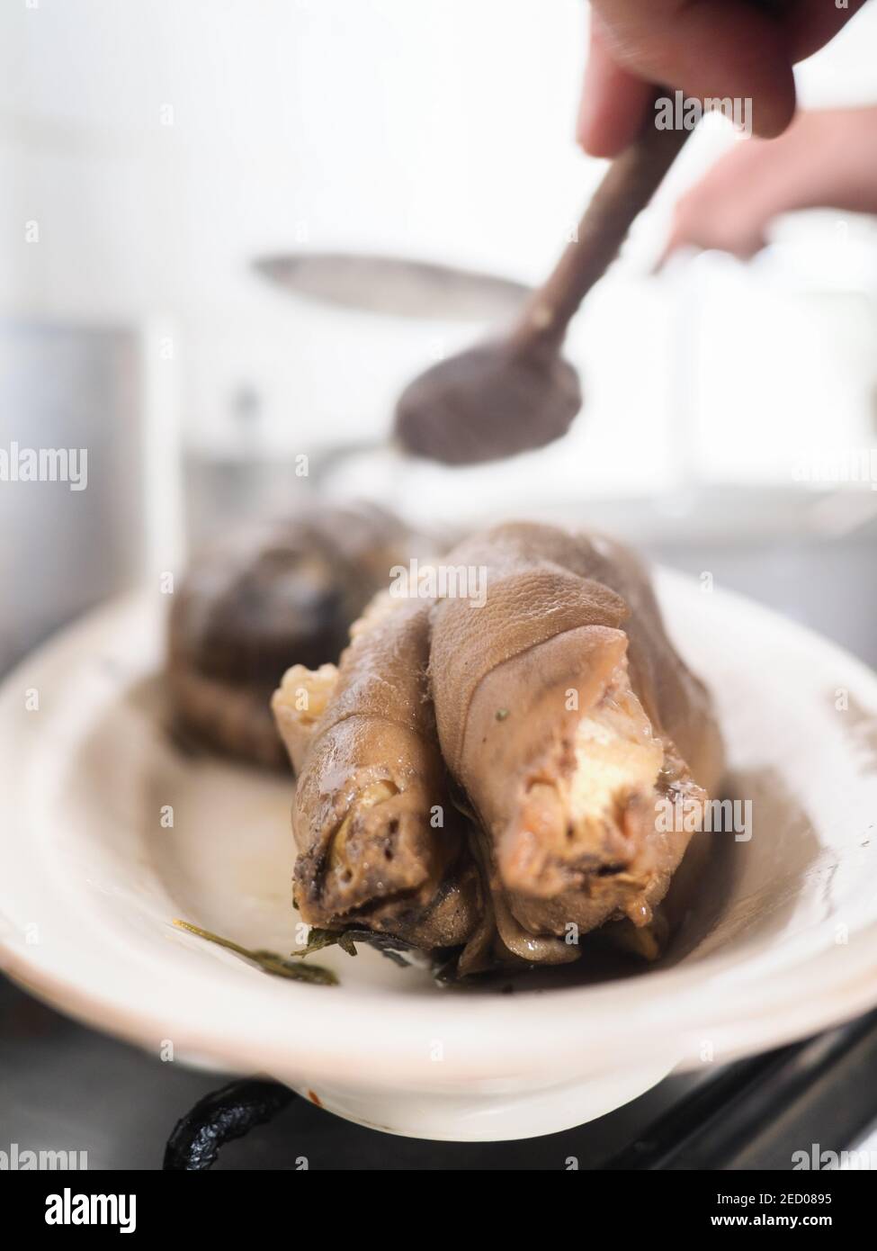 boiled pig foot Stock Photo