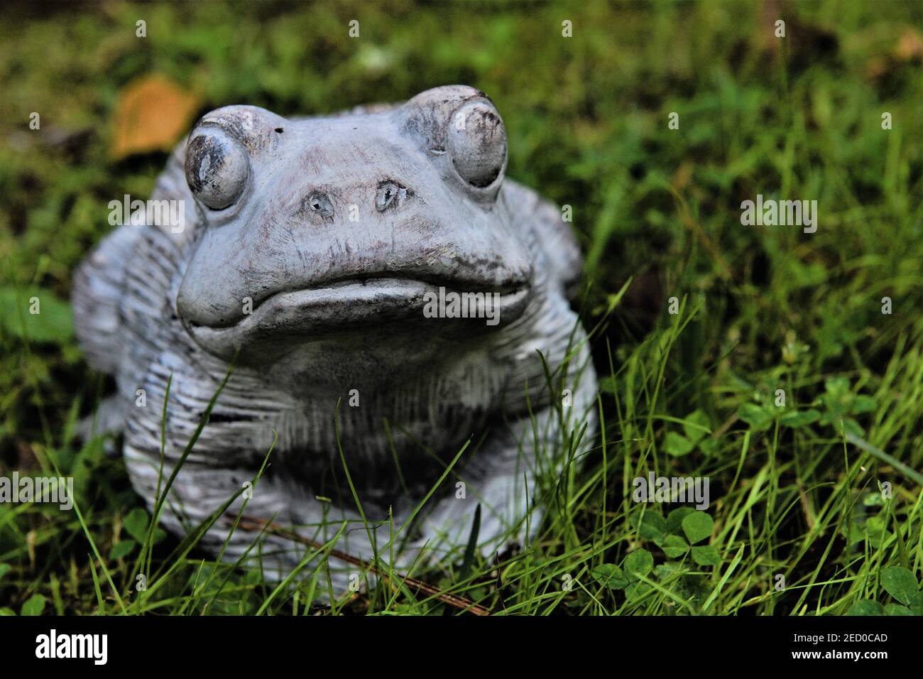 Concrete bullfrog. Stock Photo