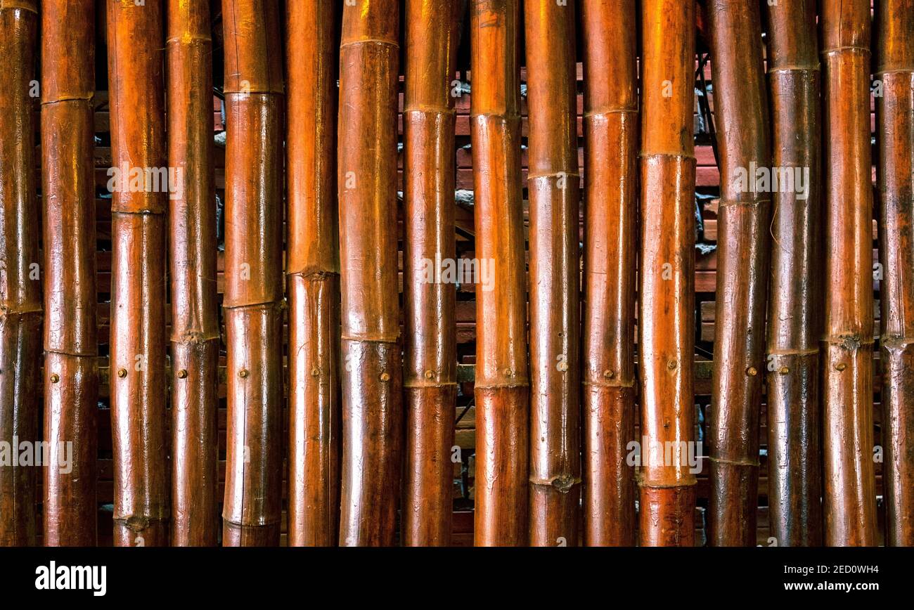 Bright bamboo background. Bamboo trunks photo. Rustic wooden screen. Brown bamboo decorative wall. Tropical cafe or spa massage salon. Natural constru Stock Photo