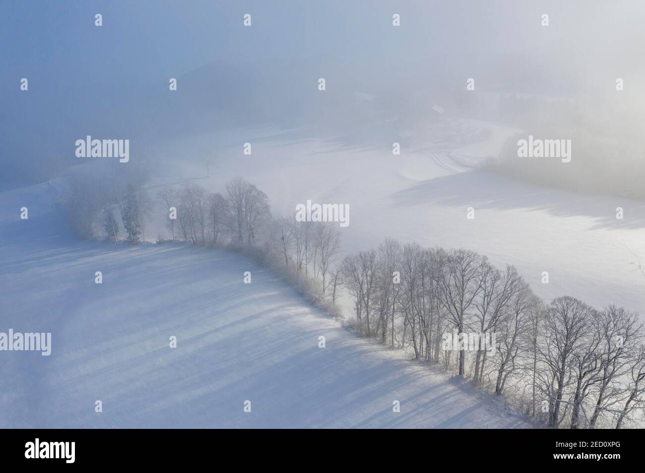 Winter morning with fog, fields and forests, Bad Heilbrunn, drone shot, Upper Bavaria, Bavaria, Germany Stock Photo