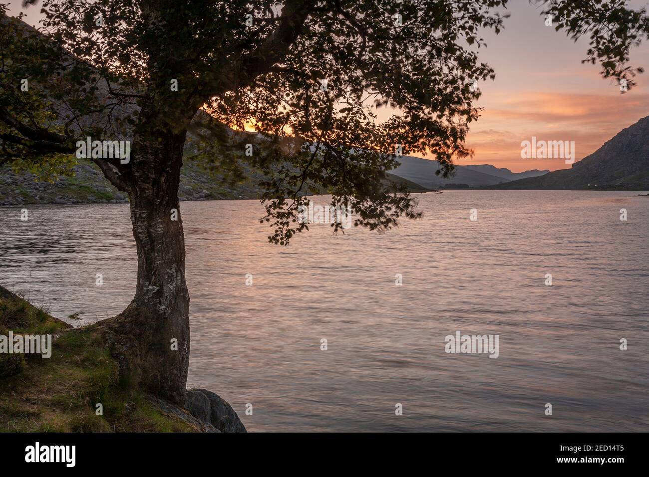 Dawn breaking over Llyn Ogwen, Snowdonia, North Wales Stock Photo