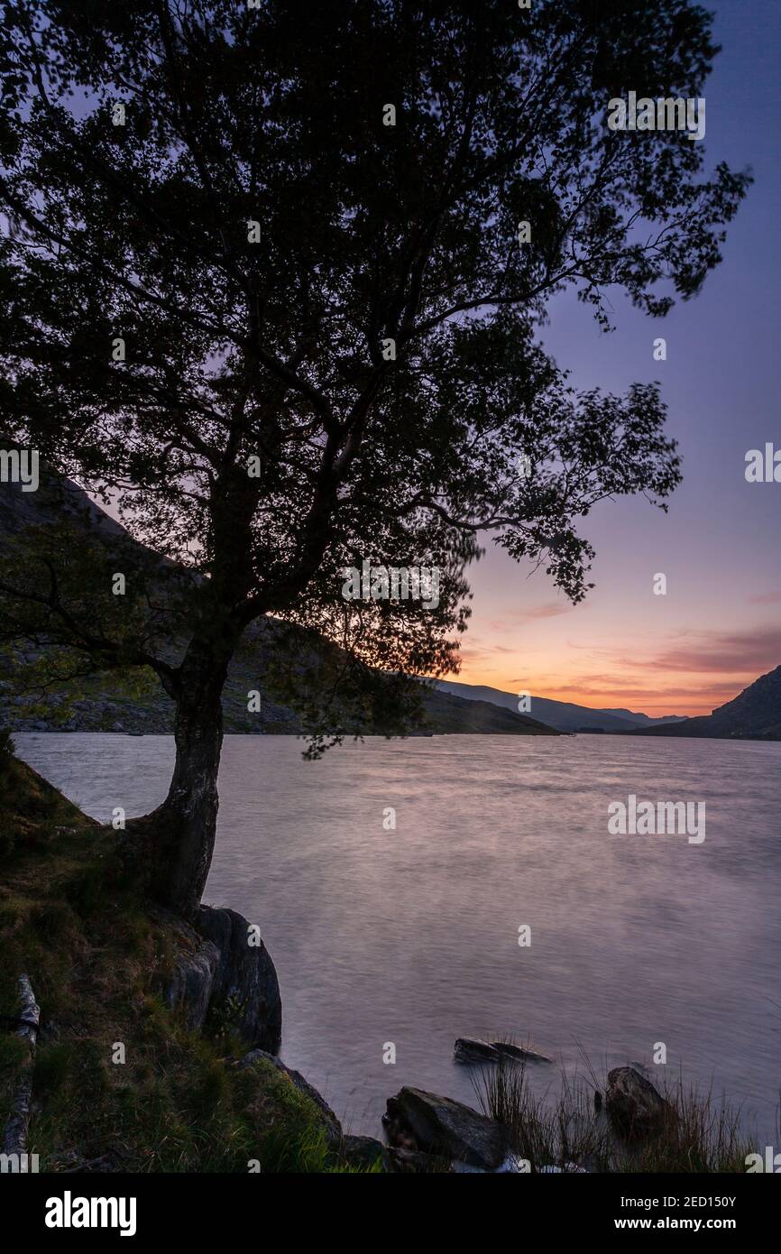 Dawn breaking over Llyn Ogwen, Snowdonia, North Wales Stock Photo