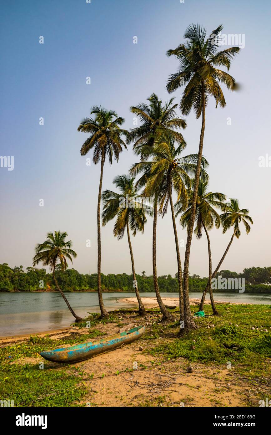 Palm trees and dugout, river near the ocean, south of Buchanan, Liberia Stock Photo