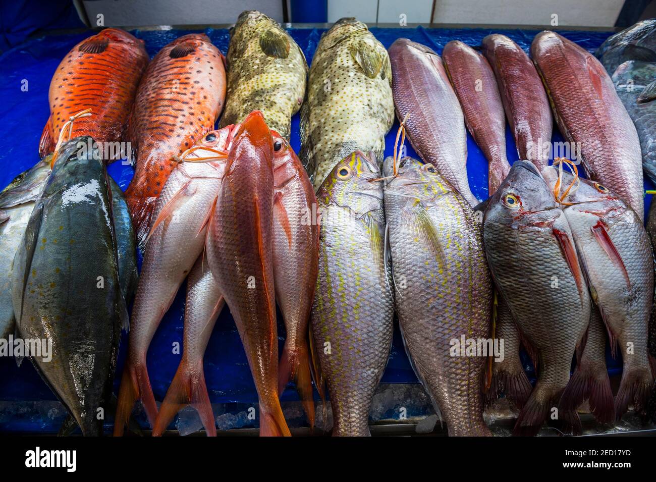 Fresh fish at the fish market of Jeddah, Saudi Arabia Stock Photo