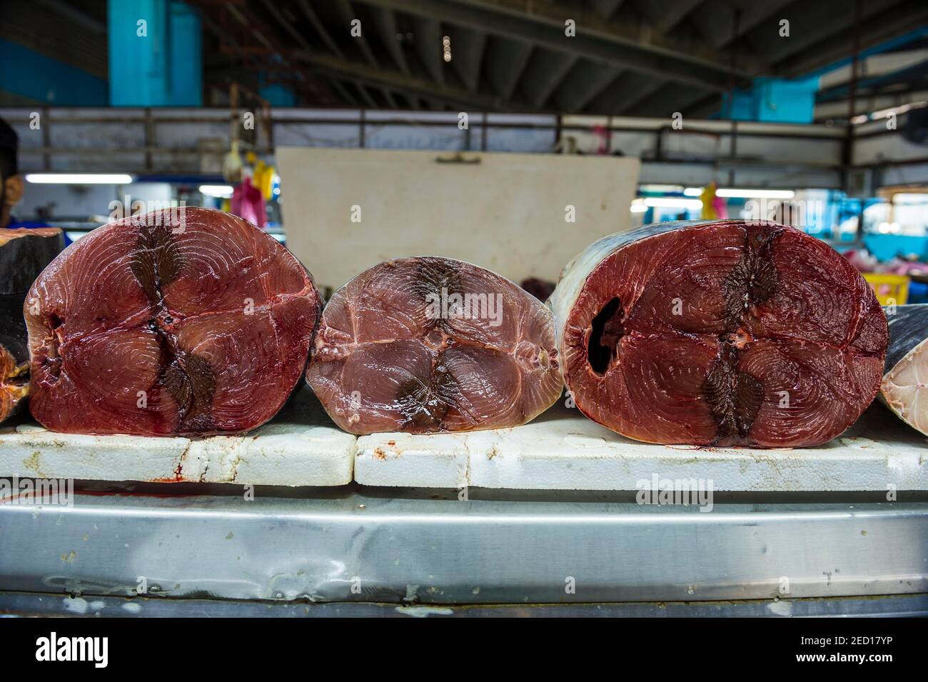 The fish market of Jeddah, Saudi Arabia Stock Photo