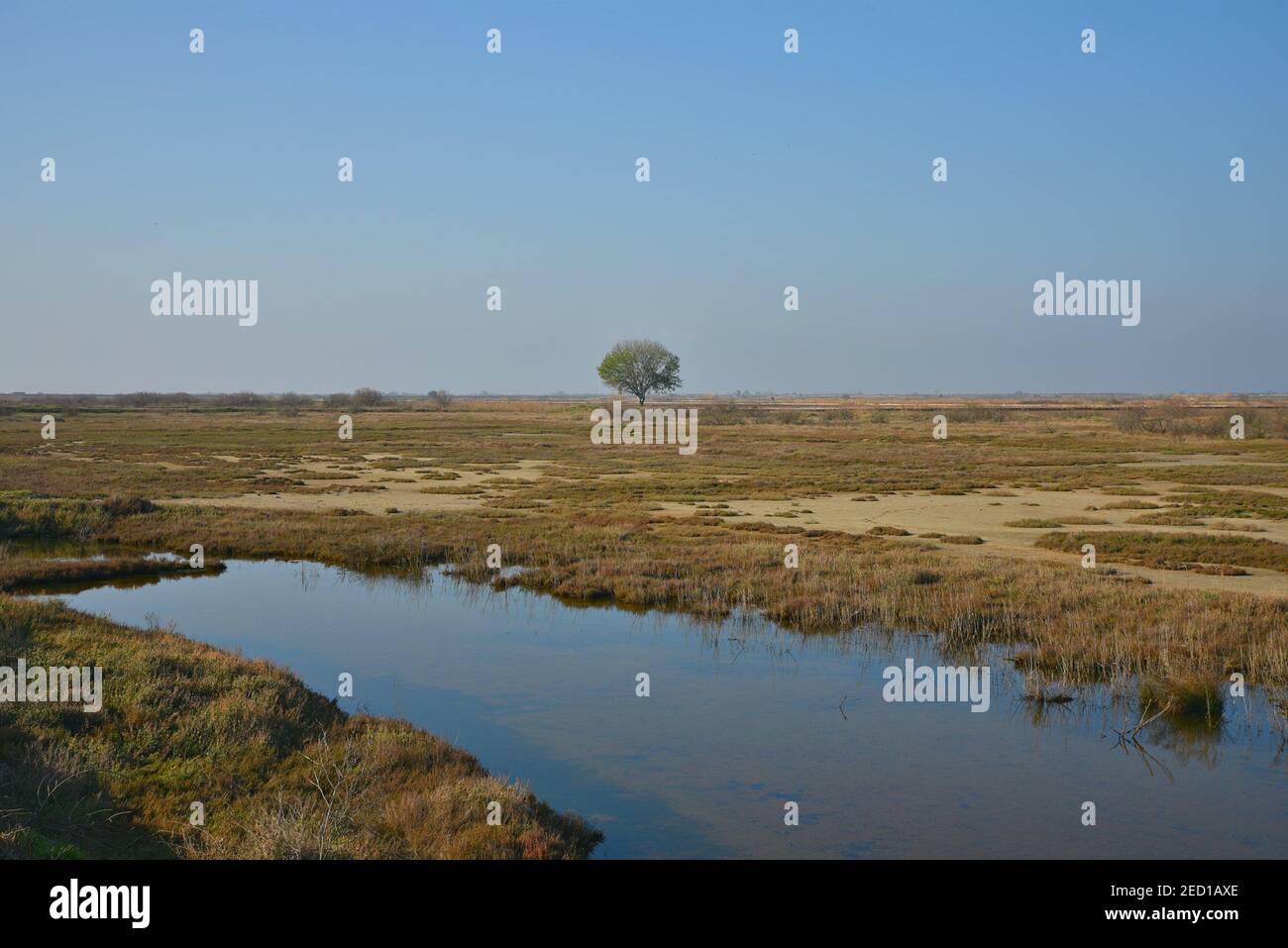 Axios delta national park hi-res stock photography and images - Alamy