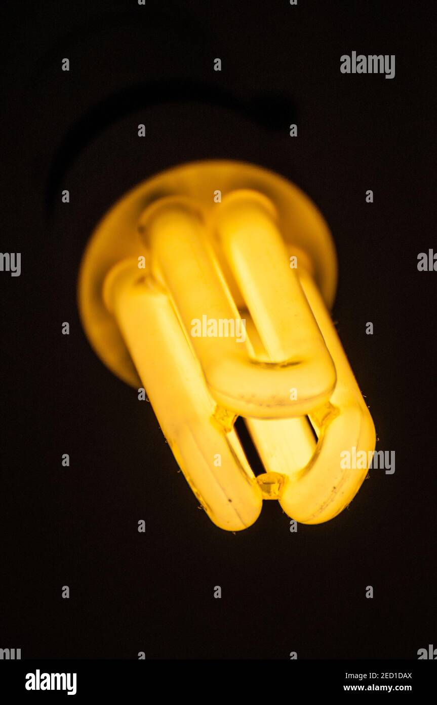 energy saving light bulb illuminated on black background Stock Photo ...