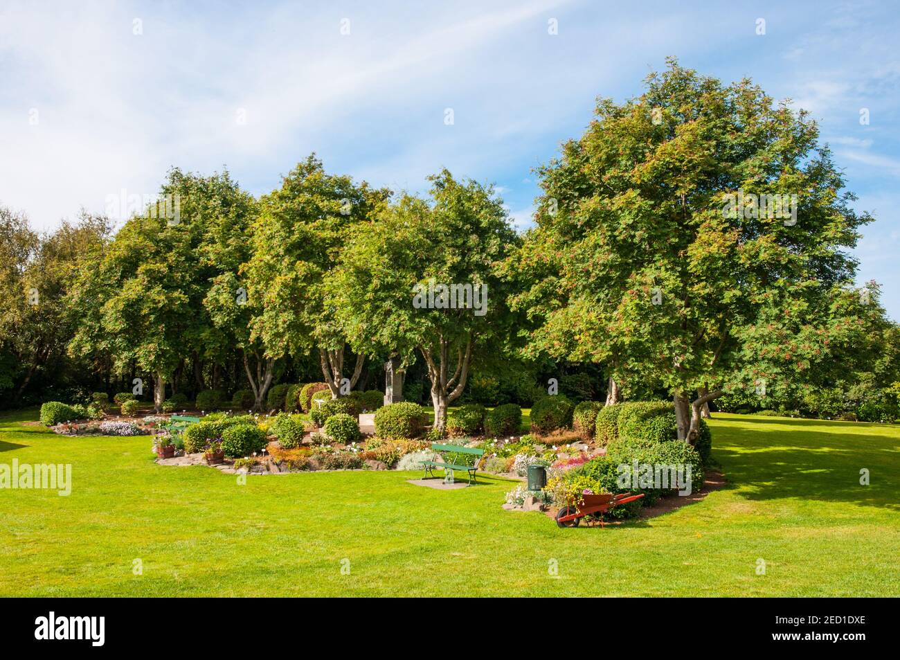 Beautiful Akureyri Botanic Garden on a summer day Stock Photo - Alamy