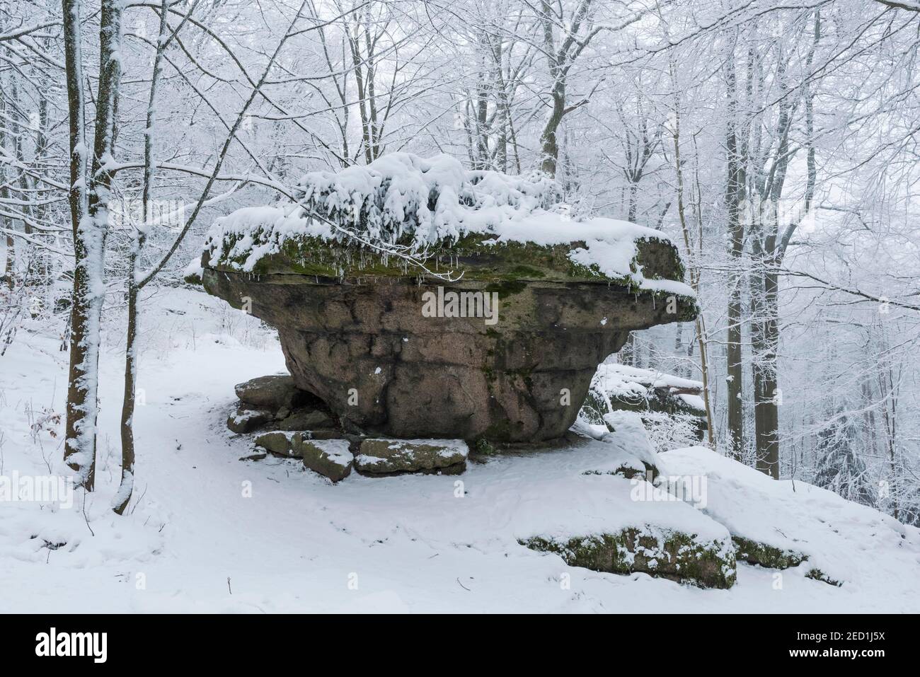 Germany Devil Rocks Devil's rock bavaria hi-res stock photography and images - Alamy