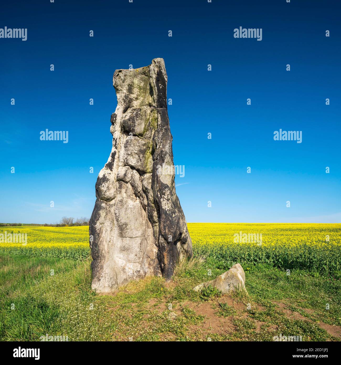 Largest menhir in germany hires stock photography and images Alamy