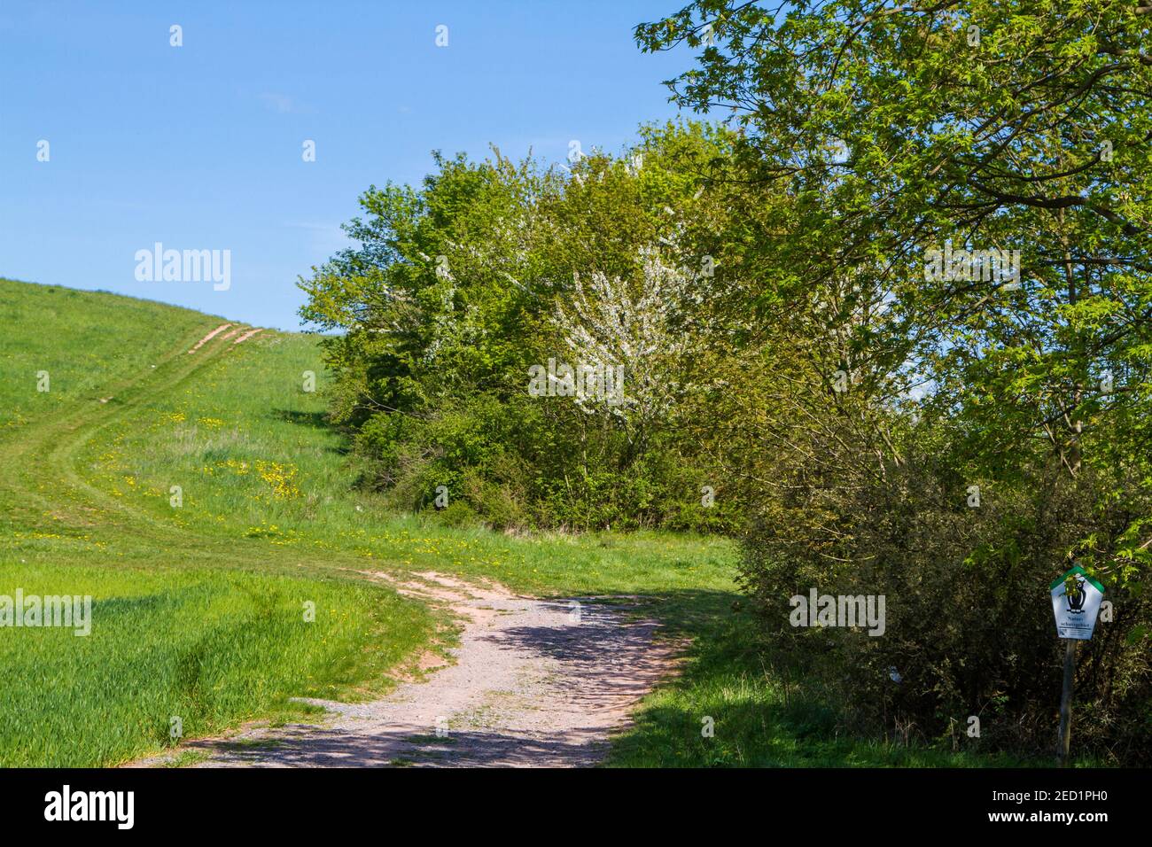 Feldweg mit Wiese Stock Photo - Alamy
