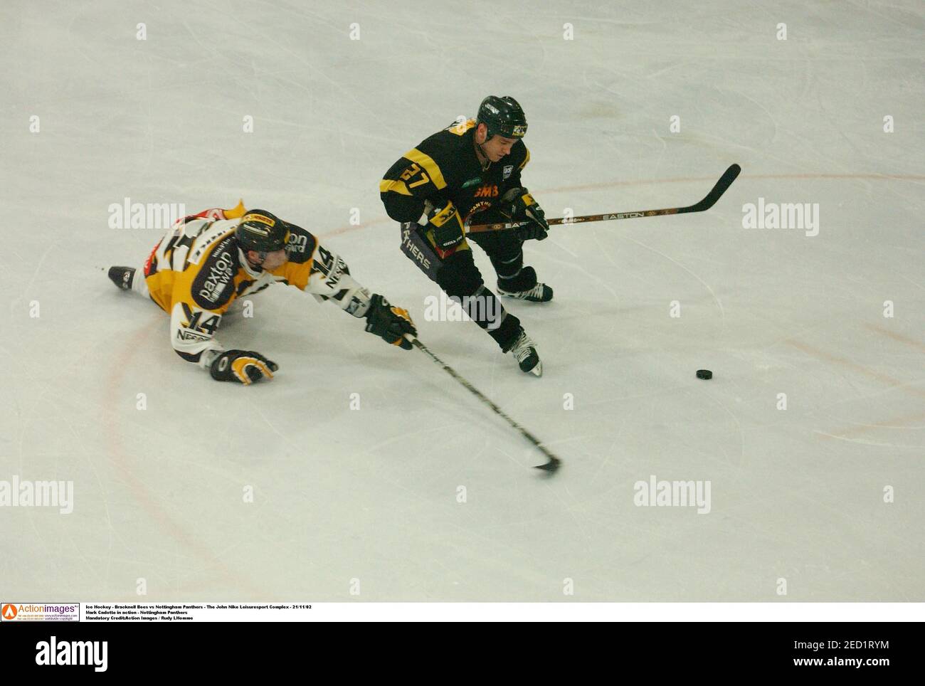 Bracknell bees hires stock photography and images Alamy