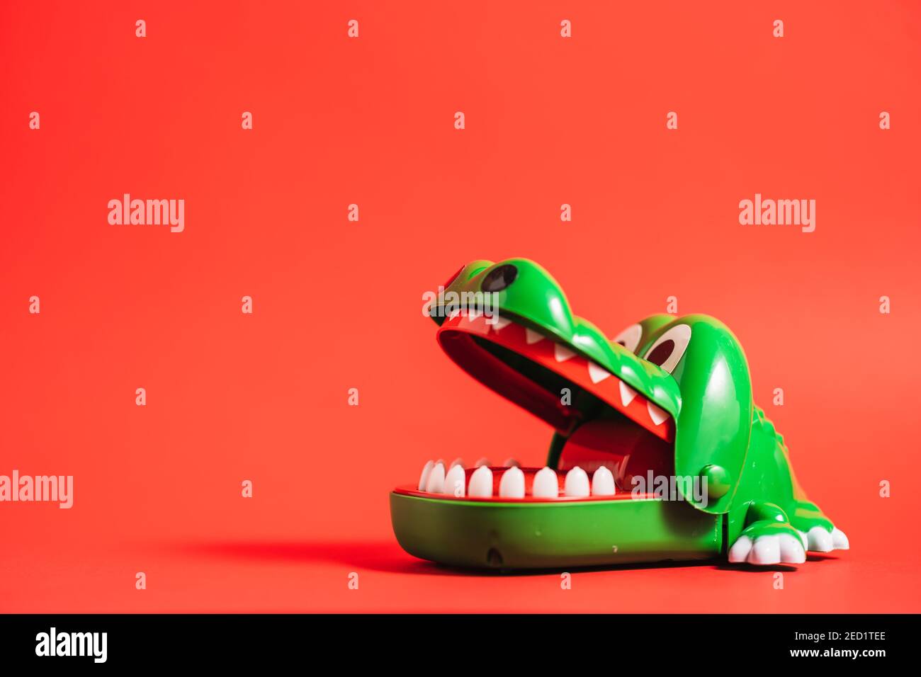 Plastic crocodile teeth toy of green color placed on table on red background in studio Stock Photo - Alamy Plastic crocodile teeth toy of green color placed on table on red background in studio Stock Photo - Alamy