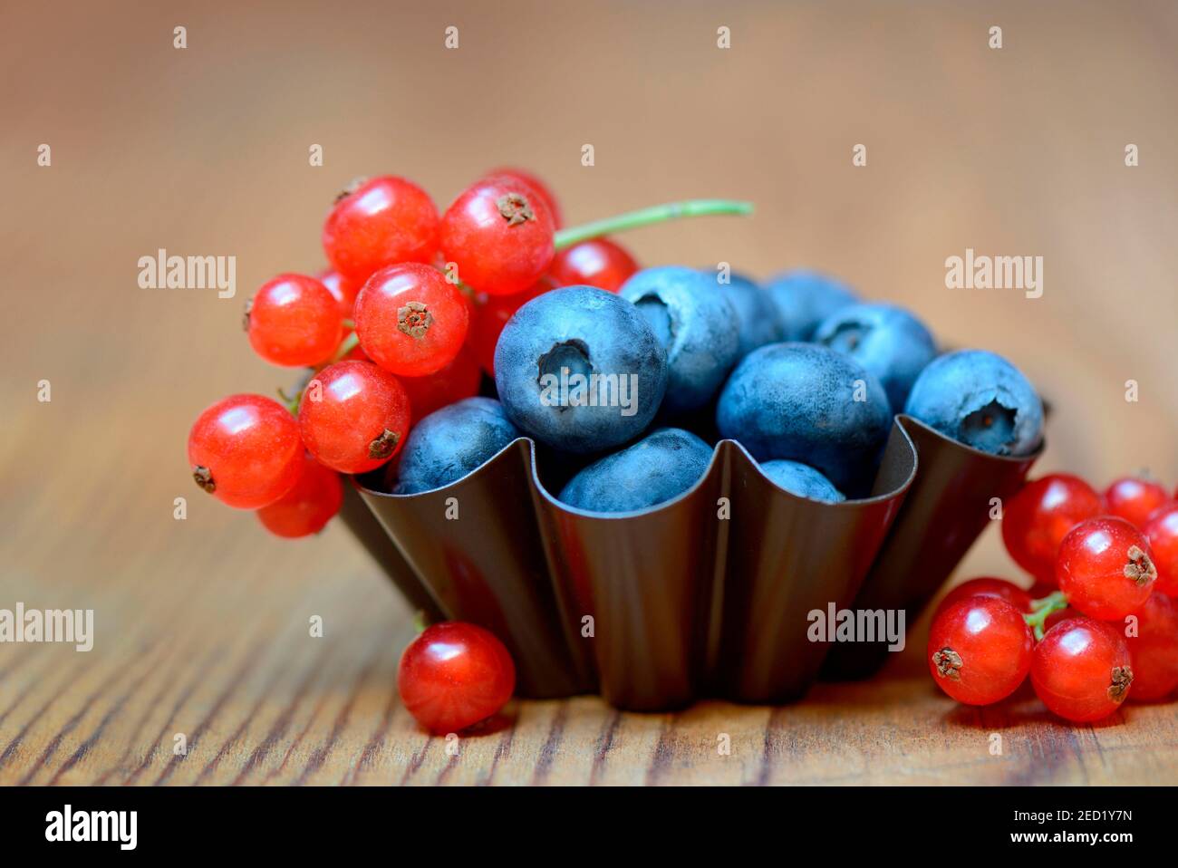 Currants and blueberries in baking tin, cultivated blueberry Stock Photo
