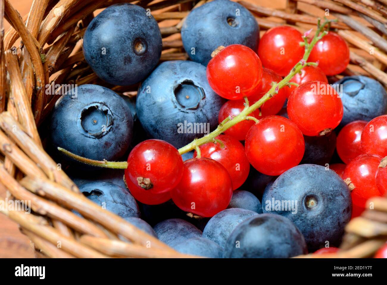 Currants and blueberries in basket, cultivated blueberry Stock Photo
