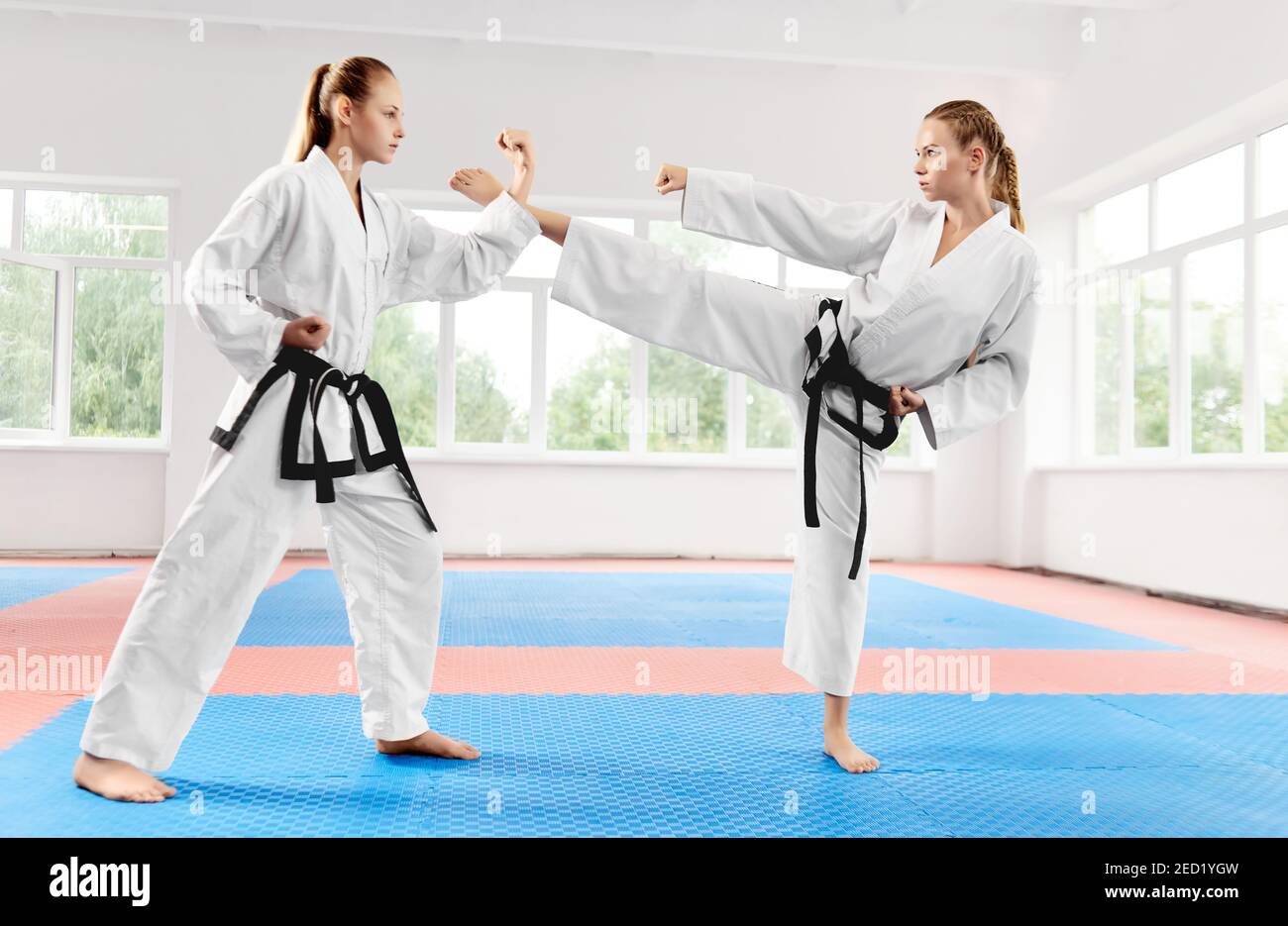 Two purposeful woman fighting using karate technique kick and punch at  bright class. Couple fit young women wearing in white kimono training  karate ma Stock Photo - Alamy