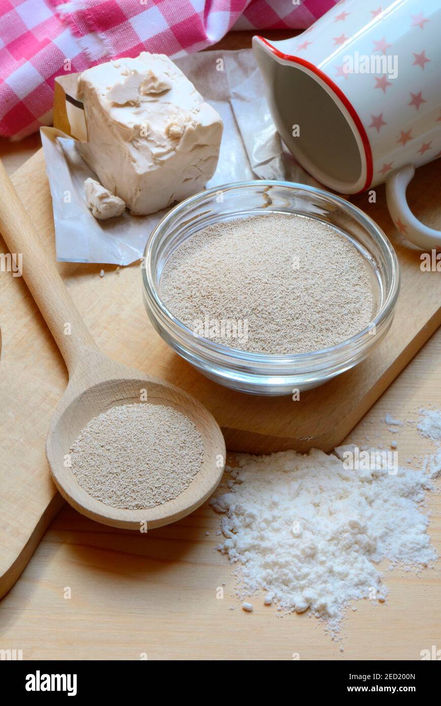 Baker's yeast, dry yeast in spoon and bowl and fresh yeast, compressed yeast, baking ingredient Stock Photo