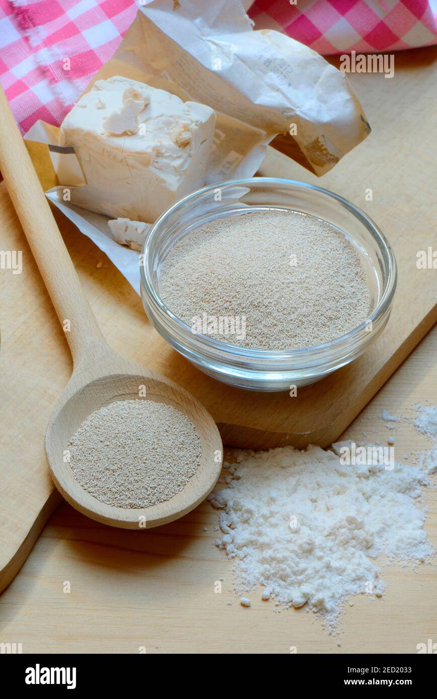 Baker's yeast, dry yeast in spoon and bowl and fresh yeast, compressed yeast, baking ingredient Stock Photo