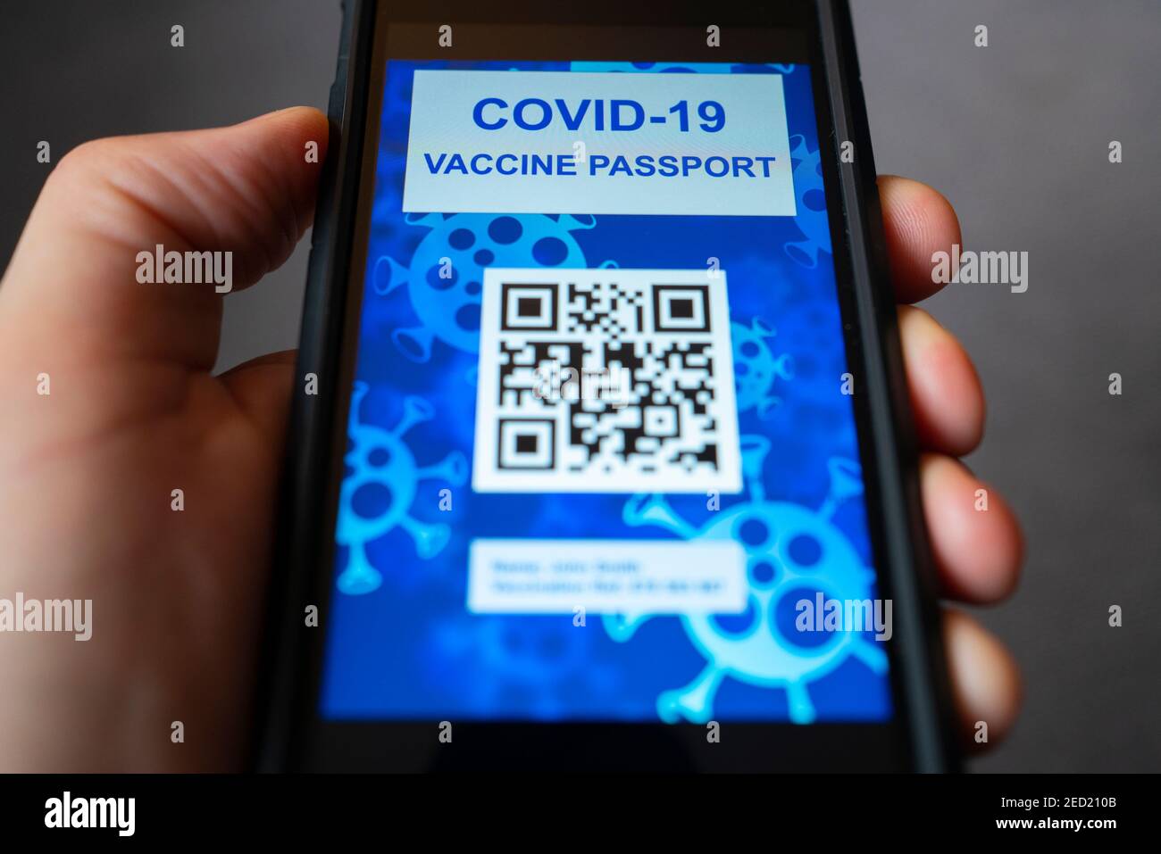 Conceptual design of possible electronic Covid-19 vaccination passport using QR code on a smart phone. Stock Photo