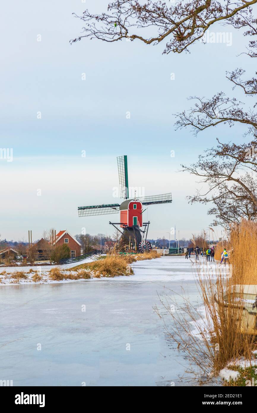 Typically Dutch winter landscape with ice skaters in a polder and view of a 17th century post mill, at Oud Ade, South Holland, The  Netherlands. Stock Photo