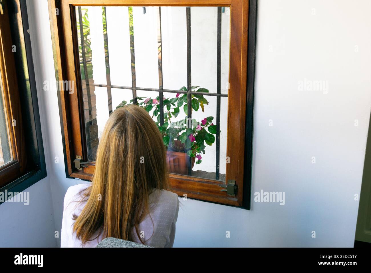 Woman looking at a pot of flowers through the window Stock Photo