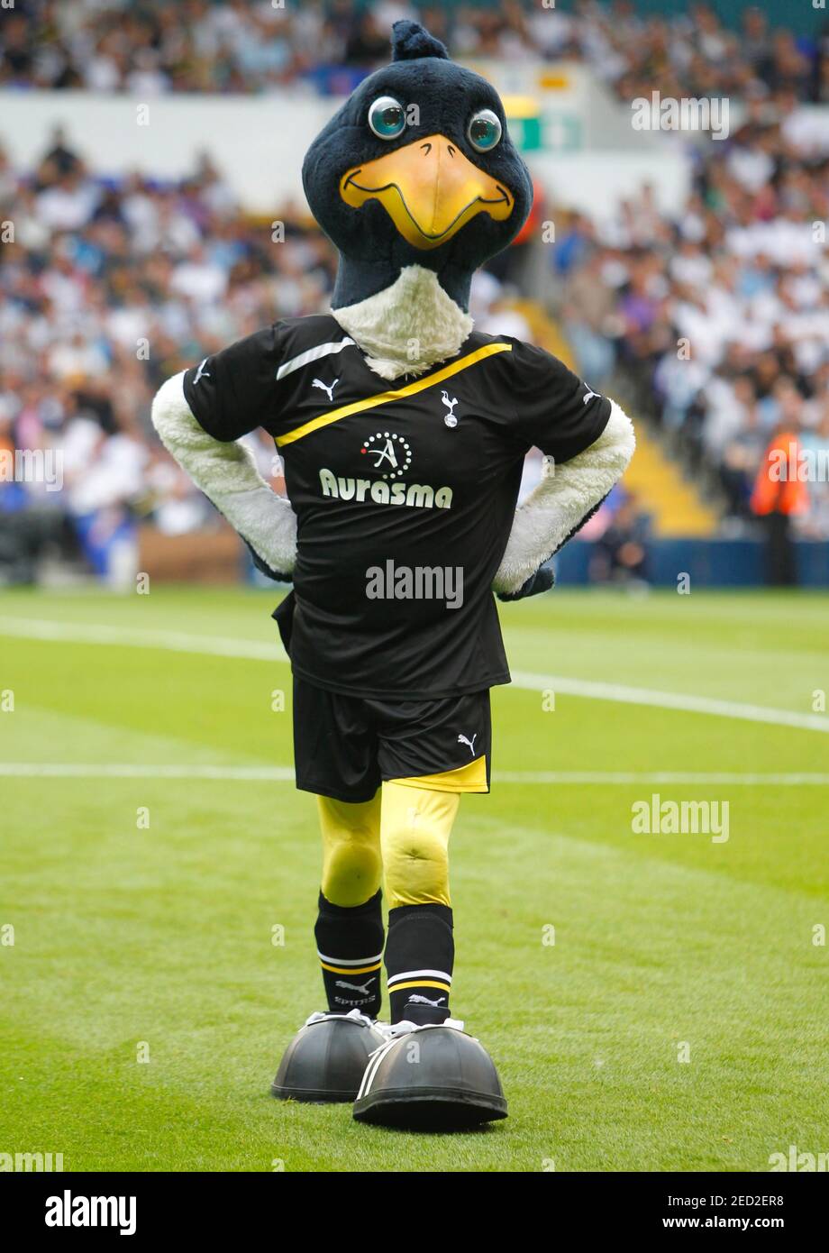 Tottenham Hotspur Mascot High Resolution Stock Photography and Images