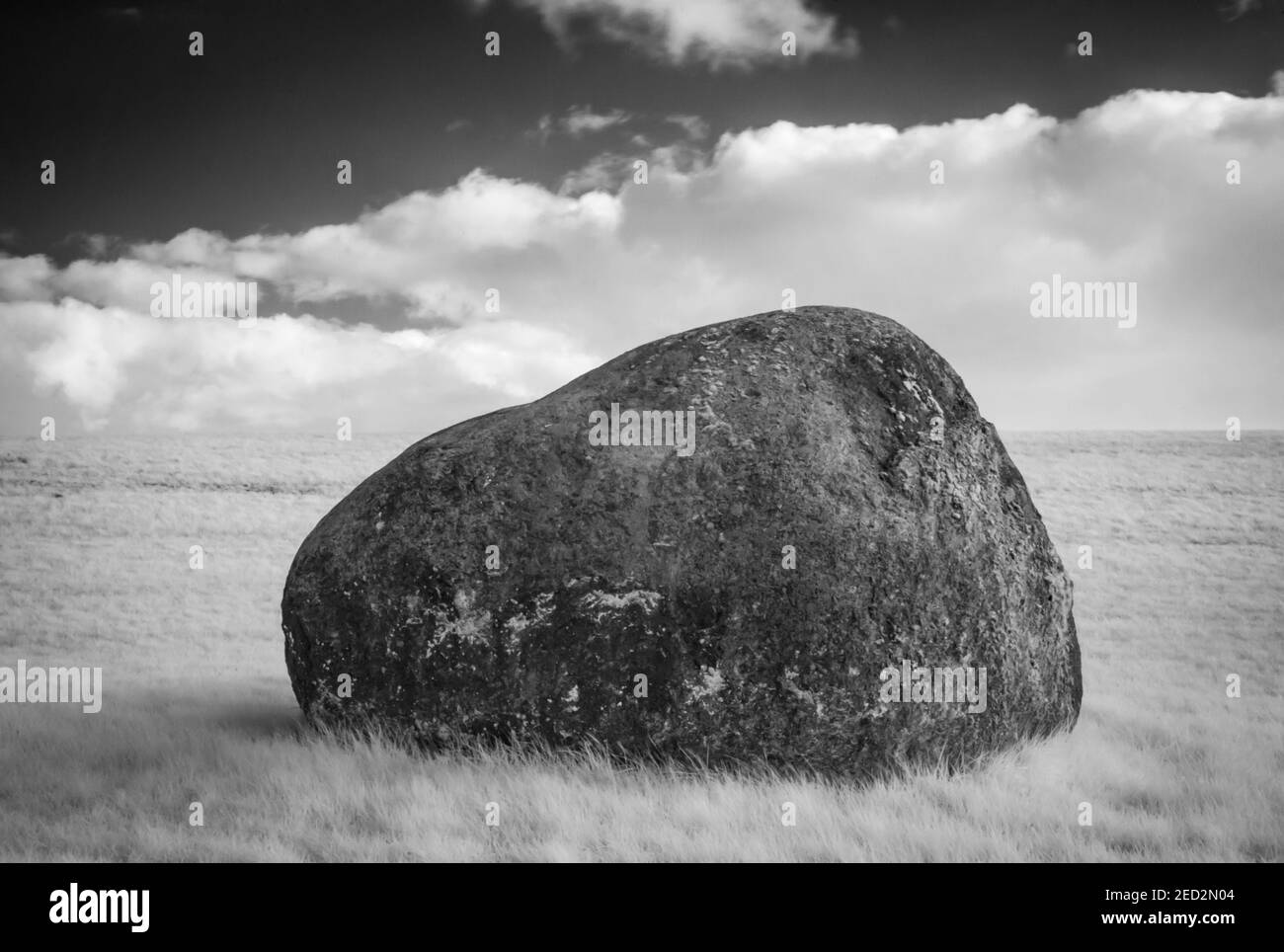 Big rock lying in white grass Stock Photo