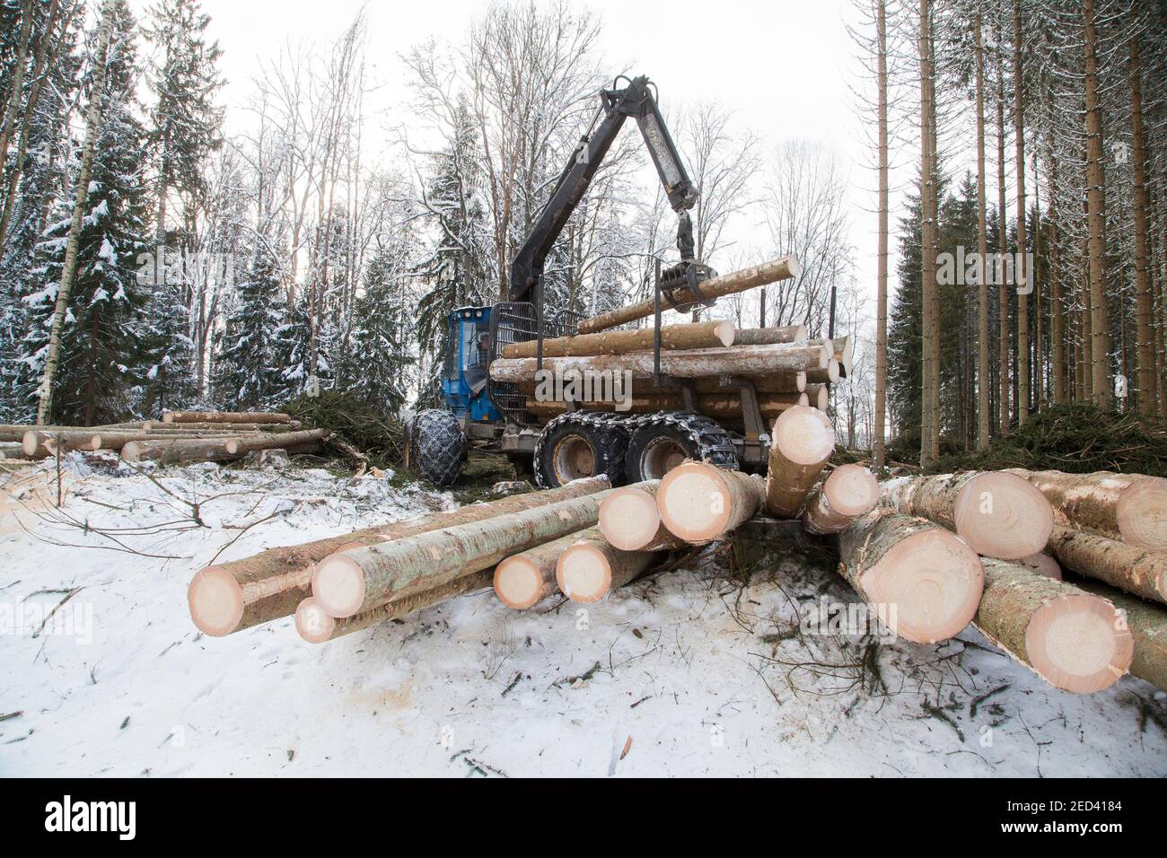 Forestry forwarder machine hi-res stock photography and images - Alamy