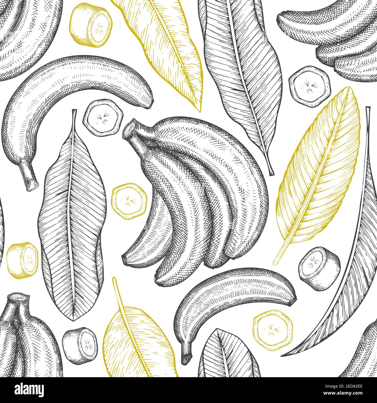 Hand Drawn Sketch Style Banana Seamless Pattern Organic Fresh Fruit Vector Illustration Retro