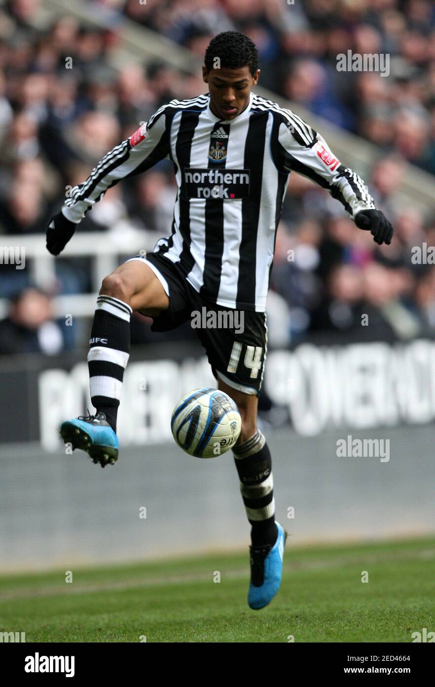 Van Aanholt Newcastle : They have to look at him.