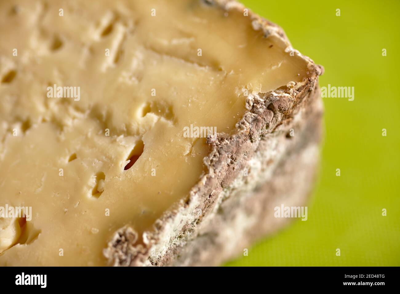 An aged Tomme cheese from Pennsylvania, USA Stock Photo