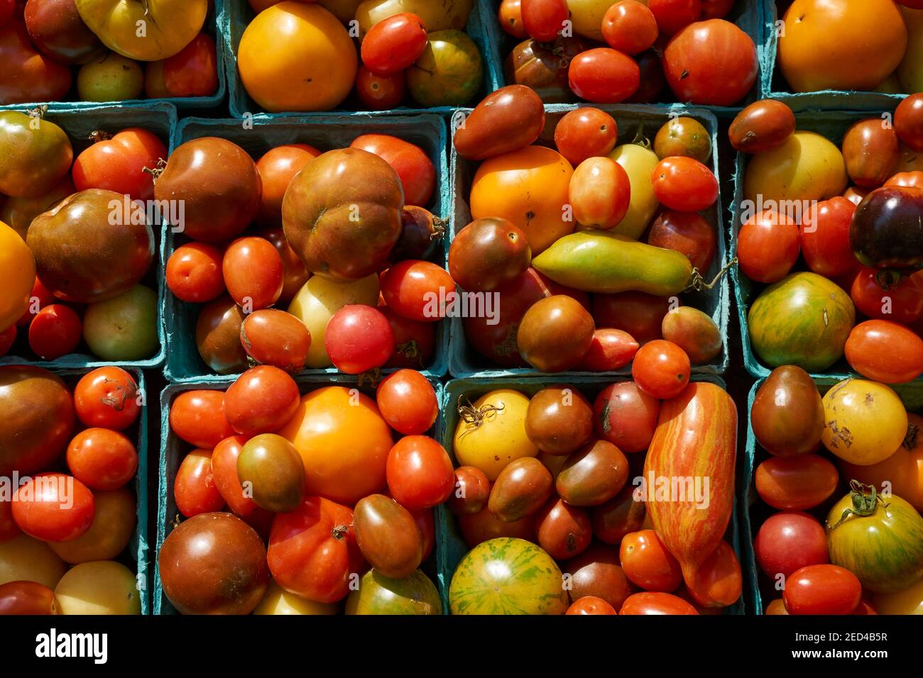 fresh, ripe,  heirloom tomatoes for sale at the Union Square Greenmarket in New York City Stock Photo