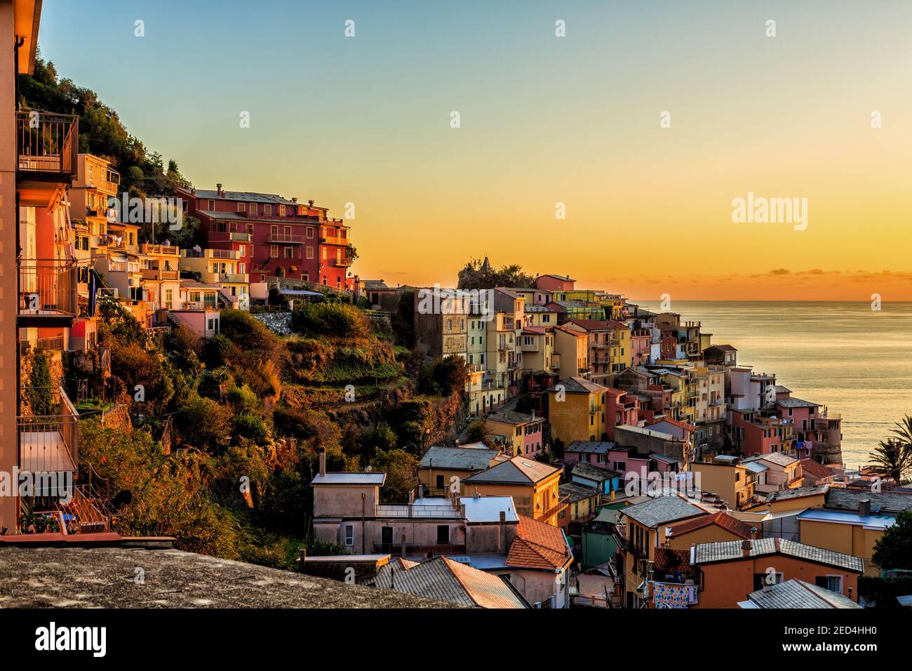 The magic hour's golden evening sun bathes the seacoast village homes and hills of Manarola, Cinque Terre, Liguria, Italy. Stock Photo