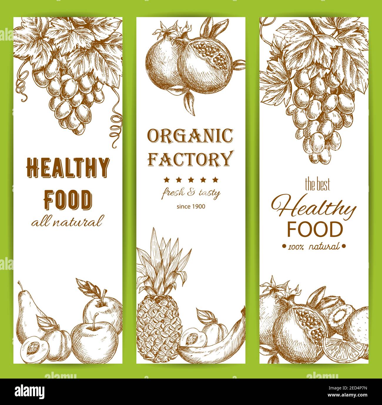 Healthy fruit food banners set. Vector sketch of natural organic fruits grape bunch, pomegranate, apple, apricot, pear, pineapple, banana, orange, cit Stock Vector