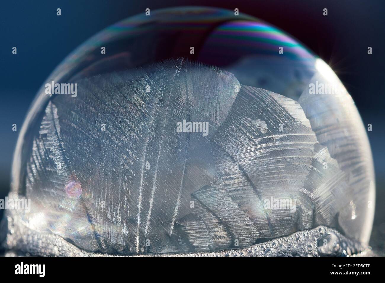 Close-up macro of a frozen soap bubble with abstract pattern in winter sunlight, isolated on blue. Stock Photo