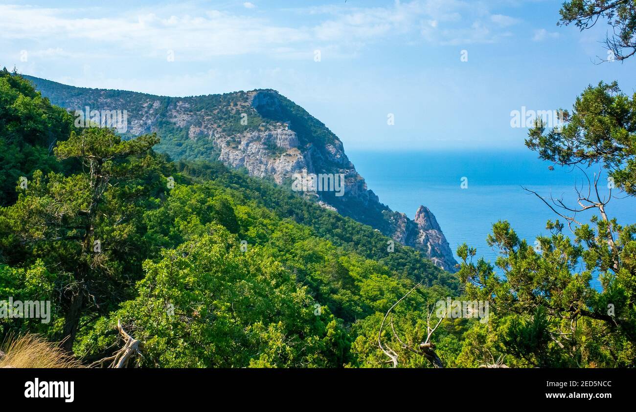 Green forest on rocks around a small bay on a sunny summer day Stock ...