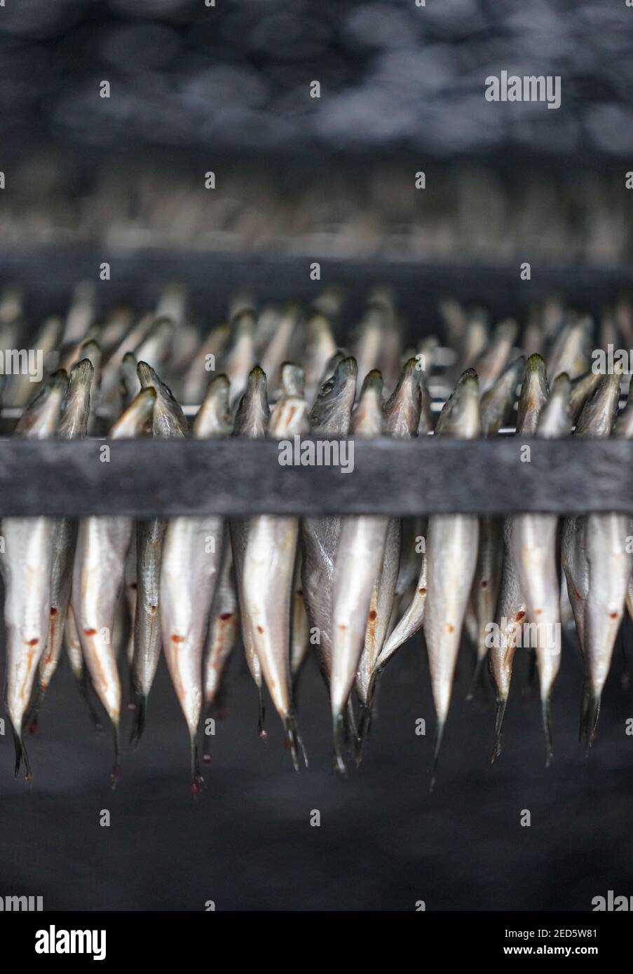 Geräucherter Fisch Stock Photo