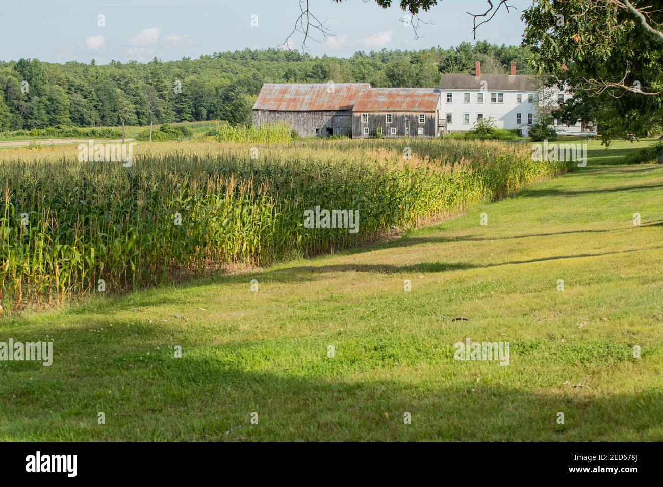 Located in the Lakes Region of New Hampshire. Just across Quarry Road off busy RT 25. Their farm