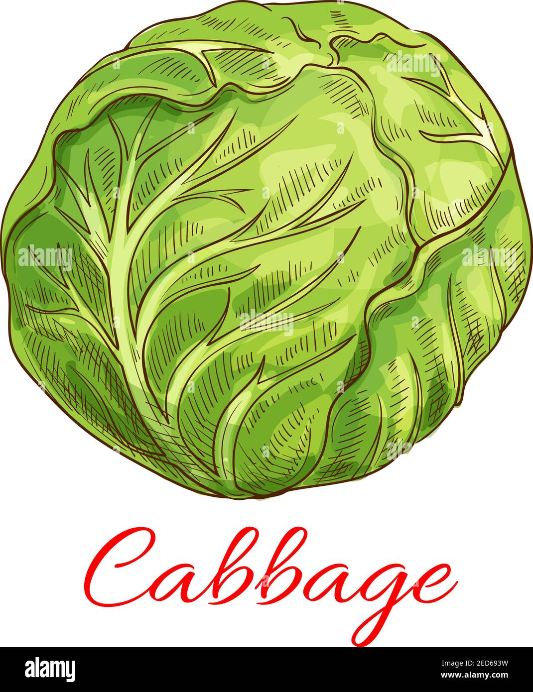 Grocery sto Stock Vector Images - Alamy